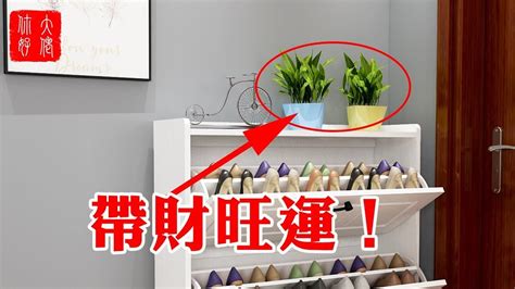 鞋櫃上放植物|一進門鞋櫃放啥植物好,鞋櫃上放什麼植物風水好